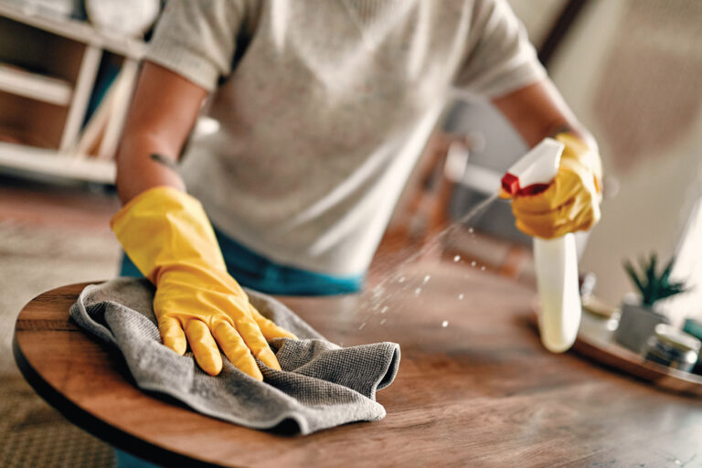 Hygiene and Cleaning Service