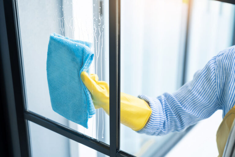 Window Cleaning Training